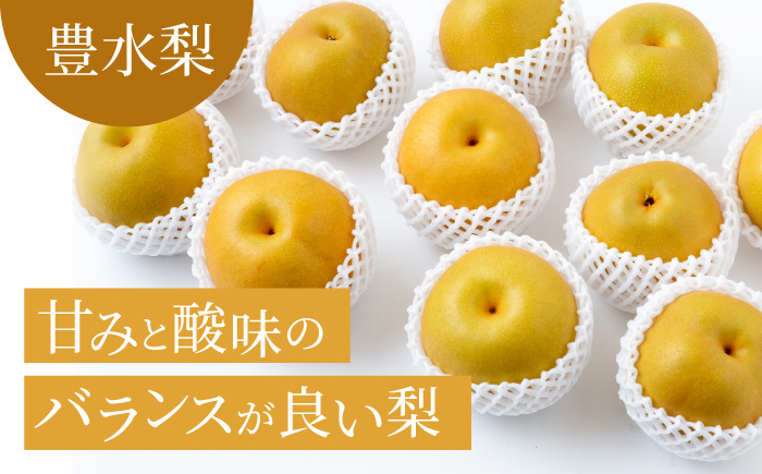 豊水梨 6～10玉 （約3kg）