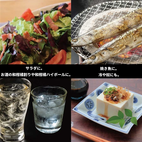 井出農園 ハウスすだち いでプリンス 秀品 1kg