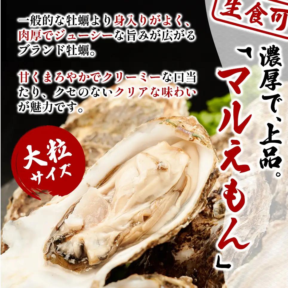 北海道 厚岸産 砂抜き済み あさり 1kg ＆ ブランド牡蠣 マルえもん 殻付き LLサイズ 20個 【光輝】 [ 魚貝類 海鮮 海の幸 みそ汁 酒蒸し アサリバタ 産地直送 生食用牡蠣 生食用 牡蠣