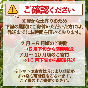 トマト プチトマト ミニトマト 就労支援 