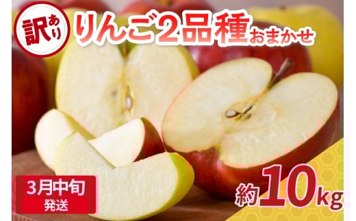 【2026年3月中旬発送】 【訳あり】 旬の美味しい りんご 約10kg 青森産 【おまかせ2品種】