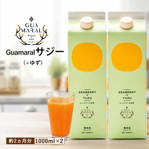  サジージュース+ゆず 1000ml×2本セット _DX05