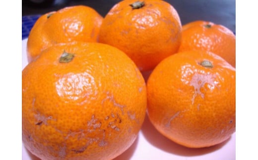 【訳あり】農家直送 有田みかん 約5kg ご家庭用 サイズ混合 ※2025年11月中旬より順次発送予定（お届け日指定不可）※北海道・沖縄・離島への配送不可 訳ありみかん みかん ミカン 蜜柑 柑橘 フ