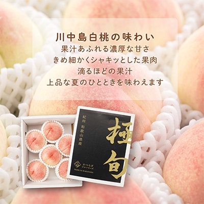 桃先行受付!　【川中島白桃】　(大玉特秀品)　約2kg　6～9個入　こだわり農家厳選!【配送不可地域：離島】