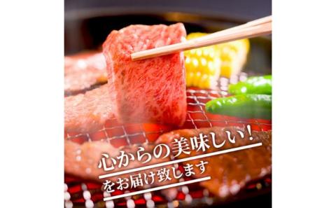 牛肉 冨士屋牛肉店がお届けする 葉山牛 特上 ロース肉 焼肉用 500g 和牛 ロース サーロイン 焼肉