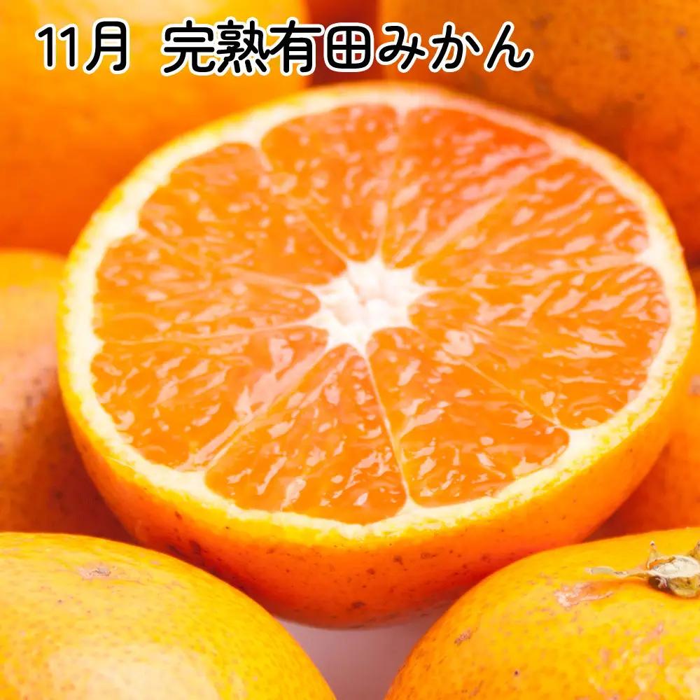 家庭用 柑橘定期便SS（10～12月）全3回【みかん定期便お試し版】 ［IKE299］