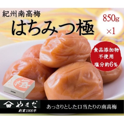 紀州南高梅はちみつ極　塩分約6%(850g)【1596209】