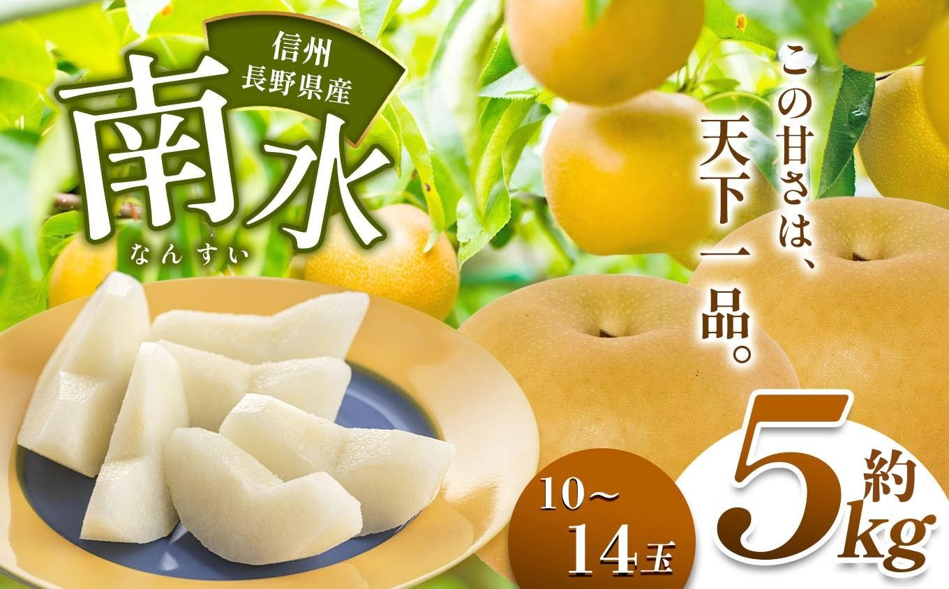 
                  【2026年先行予約】 長野県産 甘くてジューシー！ 南水 約5kg （10～14玉）【9月下旬～10月末にかけて順次発送予定】 | 果物 くだもの 南水 フルーツ 梨 なし ナシ 長野県 塩尻市
                