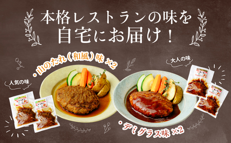 ハンバーグ ステーキ山オリジナル 冷凍合挽ハンバーグ 詰め合わせセット