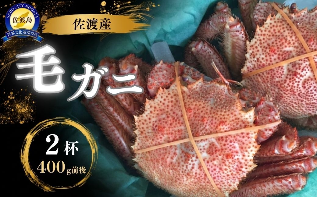
                  【先行予約】佐渡産 毛ガニ 400g前後×2杯 計800g 浜茹で 冷蔵 海洋深層水で泥抜き | 新潟県産カニ 佐渡産カニ 佐渡島産毛ガニ 毛ガニ けがに 毛蟹 カニ 蟹 かに ボイル 浜茹で 姿 かにみそ 海鮮 魚介 魚介類 にいがた さど 新潟県 佐渡市
                