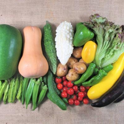 ふるさと納税 安芸高田市 旬の野菜・定期便(12か月)【2ヶ月毎に6回お届け】[No5895-0496] |  | 02