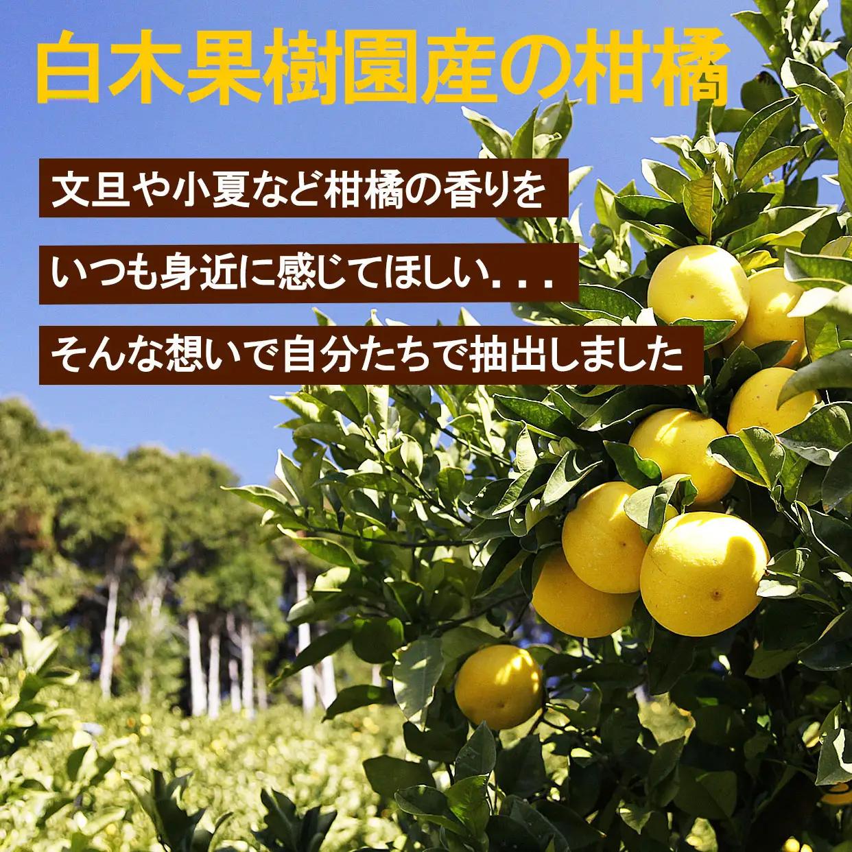 土佐文旦 エッセンシャルオイル 5ml  高知県土佐市 【株式会社SHIRAKI】 [BQAI050]