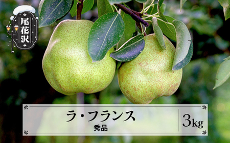 先行予約 ラ・フランス 秀品 約3kg 令和8年産 sb-lasyx3