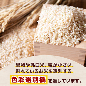 こしひかり 玄米 4kg  | 栃木県 矢板市