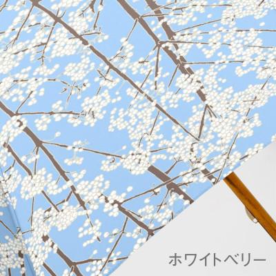 ふるさと納税 東大阪市 EMILY BURNINGHAM 晴雨兼用長傘47cm [ホワイトベリー] |  | 03