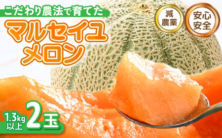【先行予約】 安心安全！減農薬！こだわり農法で育てたマルセイユメロン 2玉 (1玉あたり：1.3kg以上) 【2026年6月中旬以降順次発送予定】 【メロン めろん 赤肉 フルーツ デザート 果物 くだもの 果実 糖度 甘い 産地直送 国産】 [A-21212]