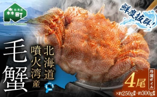 【訳あり】北海道・噴火湾産冷凍ボイル毛ガニ約250g前後～約300g前後×4尾 新物 2025年6月～7月水揚げ 毛ガニ 毛カニ 蟹 かに かにみそ 海産物 海鮮 森町 mr1-1047