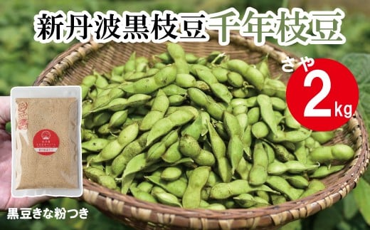 新丹波黒 枝豆 千年枝豆 2kg さや 京都 丹波 京丹波町産 期間限定 生産者限定 国産 こだわり 厳選 黒豆 枝豆 おつまみ きな粉 黒豆きなこ付き [015HY001L]