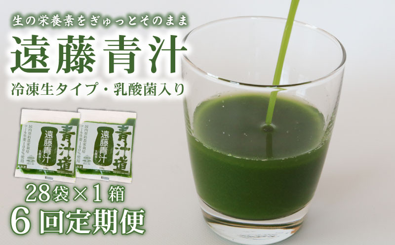 
            【6回定期便】 遠藤青汁 【生】 冷凍 1箱 2.8kg( 100g × 28袋 ) | 健康 美容 乳酸菌 国産 ケール ビタミン ミネラル 食物繊維 冷凍 ロングセラー お試し青汁 遠藤青汁 新鮮 高知県 南国市
          