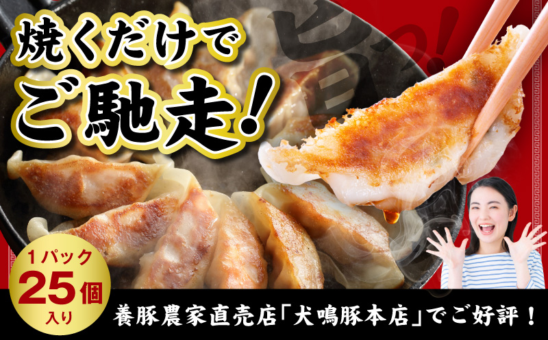 【泉佐野ブランド豚】犬鳴豚餃子 100個×6回【国産 豚肉 ぶたにく 定期便 犬鳴ポーク 焼くだけ 人気 総菜 冷凍】 099Z557