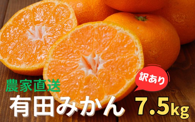 【訳あり】農家直送 有田みかん 約7.5kg ご家庭用 サイズ混合 ※2025年11月中旬2026年1月中旬までに順次発送予定（お届け日指定不可）※北海道・沖縄・離島への配送不可訳あり  訳あり 温州みかん 有機質肥料100% 【nuk157C】