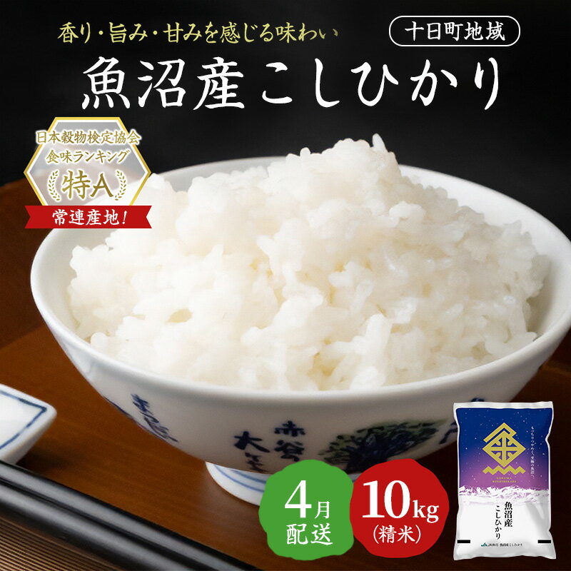 【ふるさと納税】【令和7年産米】魚沼産こしひかり(十日町地域) 精米 10kg(5kg×2) 4月配送 お米 精米 こめ ご飯 白米 旧：五郎兵衛　お届け：2026年4月上旬～4月下旬