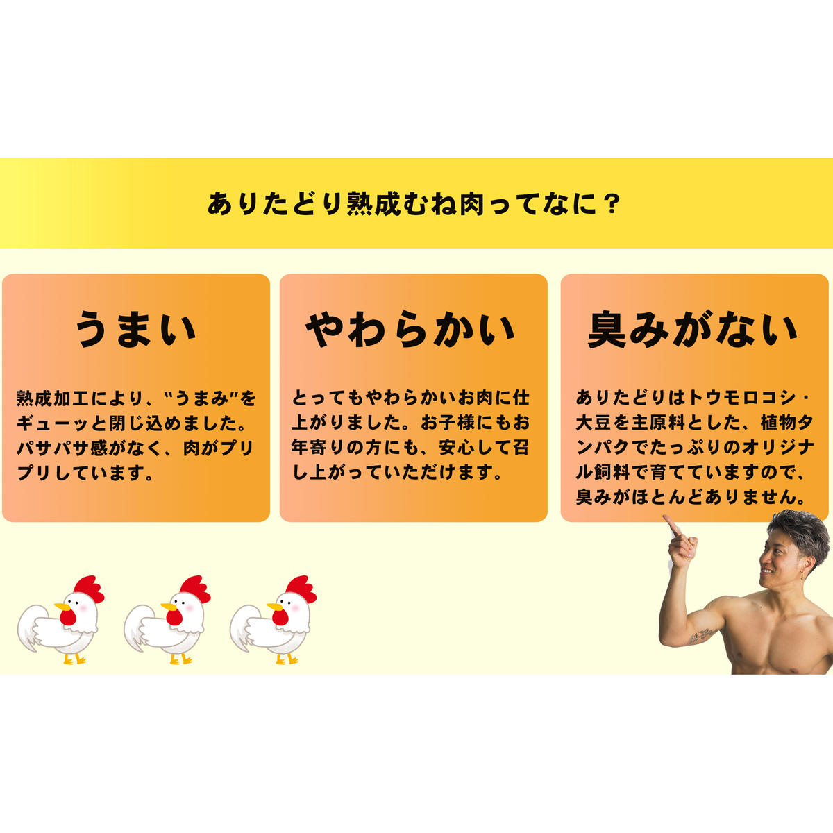 【計2.4kg 小分け】ありたどり 熟成むね肉 計2.4kg (300g×8パック) 鶏肉 むね肉 ムネ肉 胸肉 真空パック N11-4_イメージ5