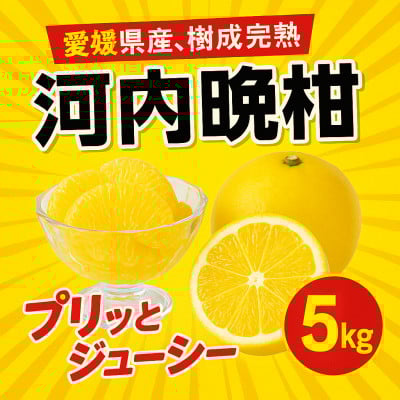 
            河内晩柑5kg＜訳あり＞＜A31-50＞【1613967】
          
