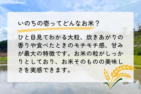 【令和5年産】農薬・化学肥料不使用　オータニ農業の『いのちの壱』玄米10kg