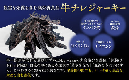 ペット 牛チレジャーキー ( 脾臓 ) 約300g 