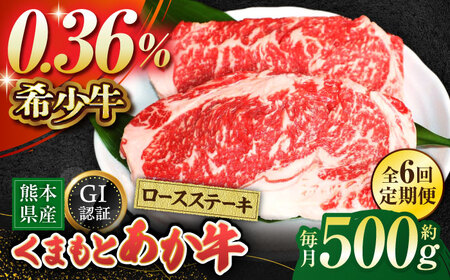 【全6回定期便】GIくまもとあか牛ロースステーキ　約500g【山鹿市（桜屋）】 熊本 特産 牛肉 特選 ロースステーキ あかうし [ZBO027]