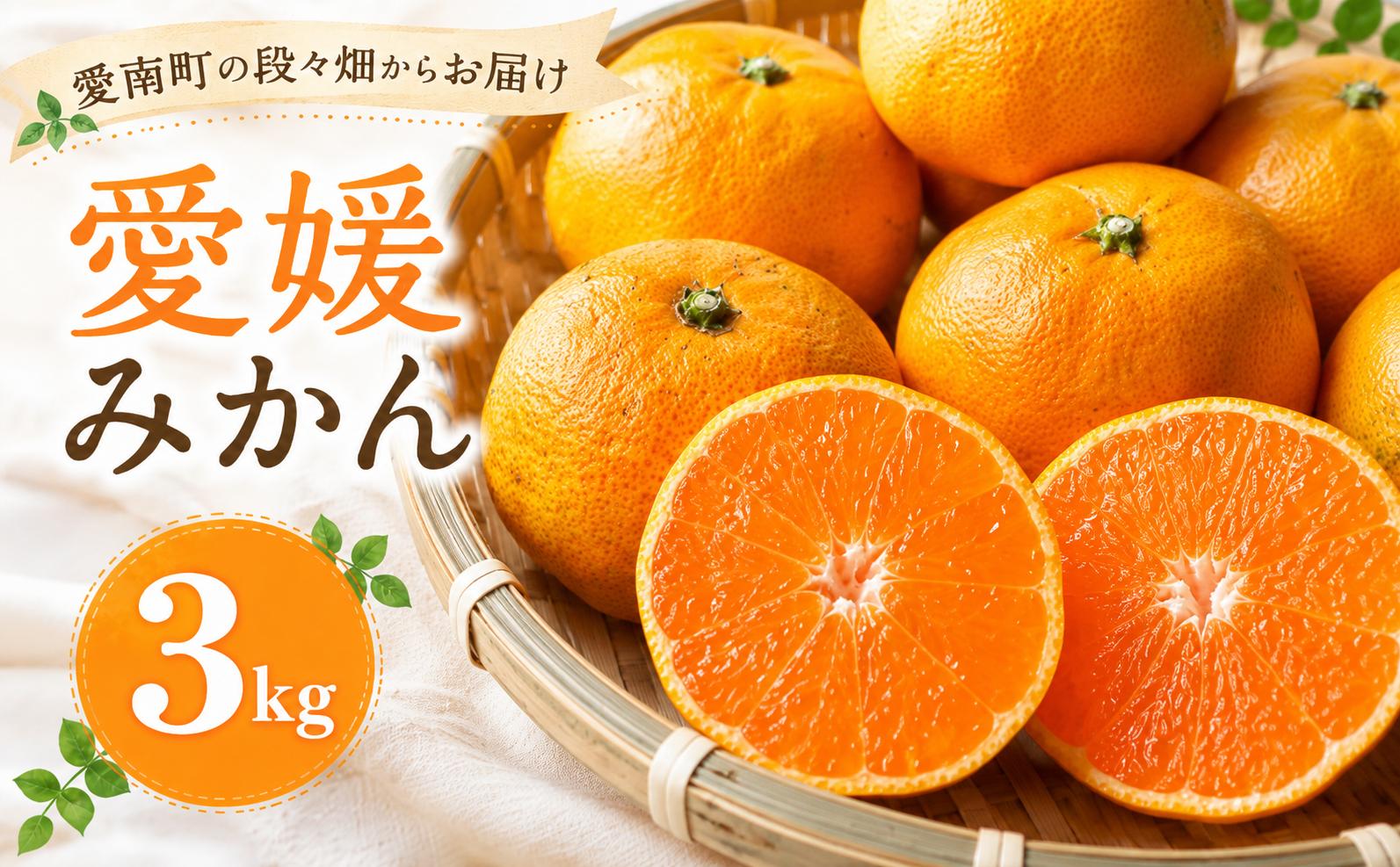 
                  数量限定 先行予約 愛媛みかん 3kg 7000円 温州みかん こたつ みかん mikan 蜜柑 ミカン 国産 期間限定 特産品 ギフト プレゼント お歳暮 産地直送 農家直送 人気 限定 甘い フルーツ 果物 柑橘 おいしい 小玉 含む おいしい 岡平農園 愛南町 愛媛県
                