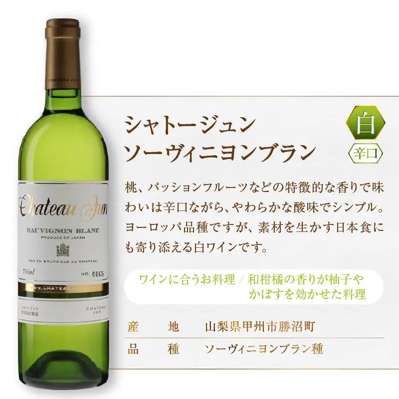 ワイン シャトージュン 3品種飲み比べセット【MERLOT・SAUVIGNON BLANC・SEMILLON】（MG）E-664