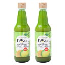 【ふるさと納税】青搾りじゃばらストレート果汁 360ml×2本セット | 和歌山県 和歌山市 和歌山 楽天ふるさと 納税 支援品 返礼品 フルーツ 果物 くだもの じゃばら ジャバラ 柑橘 柑橘類 かんきつ類 果汁 ドリンク 特産品 飲み物 ドレッシング たれ タレ おいしい 美味しい