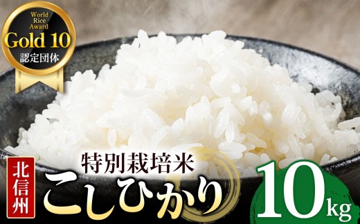 木島平産 特別栽培米コシヒカリ  約10kg | 米 白米 精米 特別栽培米 コシヒカリ こしひかり お米 おこめ 減農薬 長野県 木島平村 信州