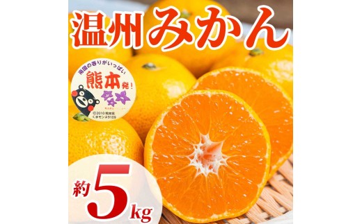 令和8年熊本地震復興支援 温州みかん 約5㎏ ( 2S～2L)【2026年10月上旬～2027年2月下旬発送予定】みかん ミカン フルーツ 果物 柑橘 かんきつ 蜜柑 うんしゅうみかん ウンシュウミカン 熊本県 熊本 九州 宇城市 国産 高糖度 甘い ジューシー 日本フルーツ