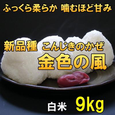 ふるさと納税 奥州市 新米 金色の風(こんじきのかぜ)白米 9kg 岩手県奥州市 令和7年産米 9キロ[AC029]