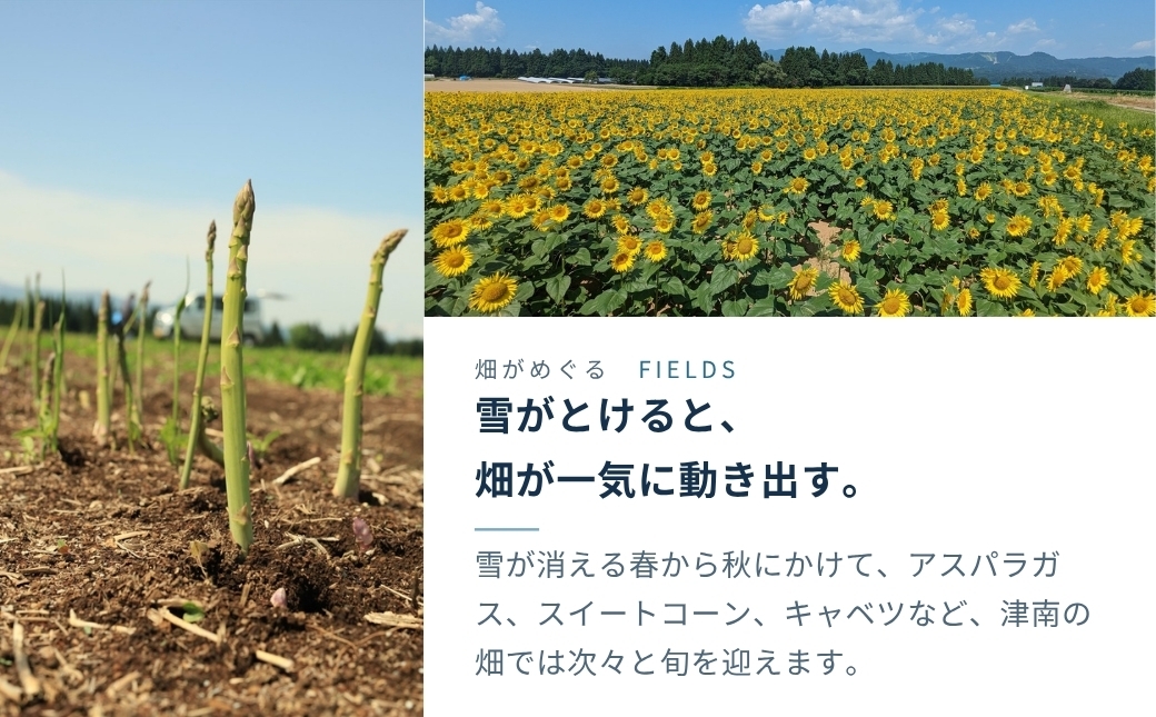 にんじんが苦手という方にもおすすめ！
