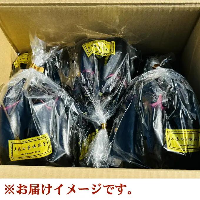【定期便6回発送】農家直送　土佐の美味茄子の新鮮ナス　４．５kg　（室戸海洋深層水にがり使用） 野菜 なす ナス 常温 小袋 国産 夏野菜 茄子 小分け 旬 90000円 高知 頒布会