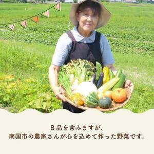 【毎月お届け 全4回コース】南国土佐の季節野菜と卵（ゆずたま）の詰め合わせセット | 毎月 連続発送 定期便 セット 詰め合わせ 旬 やさい たまご 卵 柚子 ゆず ゆずたま 農家直送 人気 高知県 