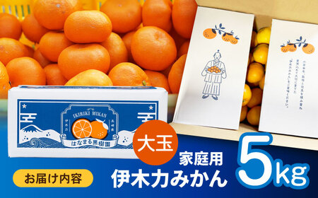 ※【2026年12月上旬より順次発送／先行予約】伊木力みかん(大玉) 5kg / みかん ミカン 蜜柑 柑橘 フルーツ ふるーつ 果物 くだもの / 諫早市 / 山野果樹園 [AHCF007]