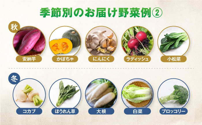 【全10回定期便】有機農法・旬の野菜詰め合わせ 五島市/ぷらっと農園 [PDS010]