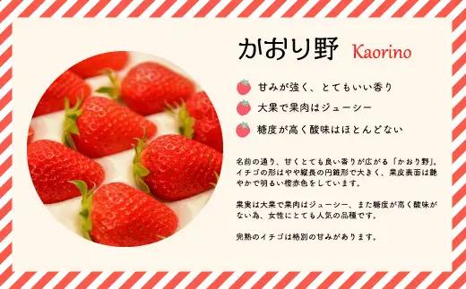 【令和9年1月～4月発送！】北海道浦河町産いちご食べ比べ定期便(全3回)[13-1629]