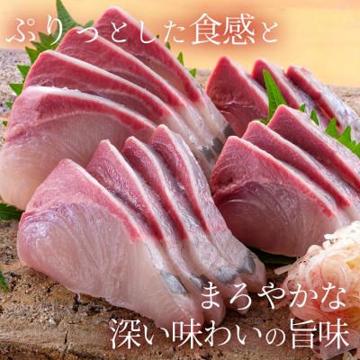 ふるさと納税 延岡市 宮崎産 金太郎ぶりフィレ 半身1枚1.3kg以上(冷凍) |  | 03