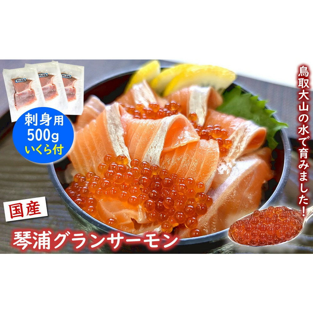 【ふるさと納税】薬剤未使用で安心　国産とっとり琴浦グランサーモン刺身用500g いくら付 訳あり 小分け個包装で便利
