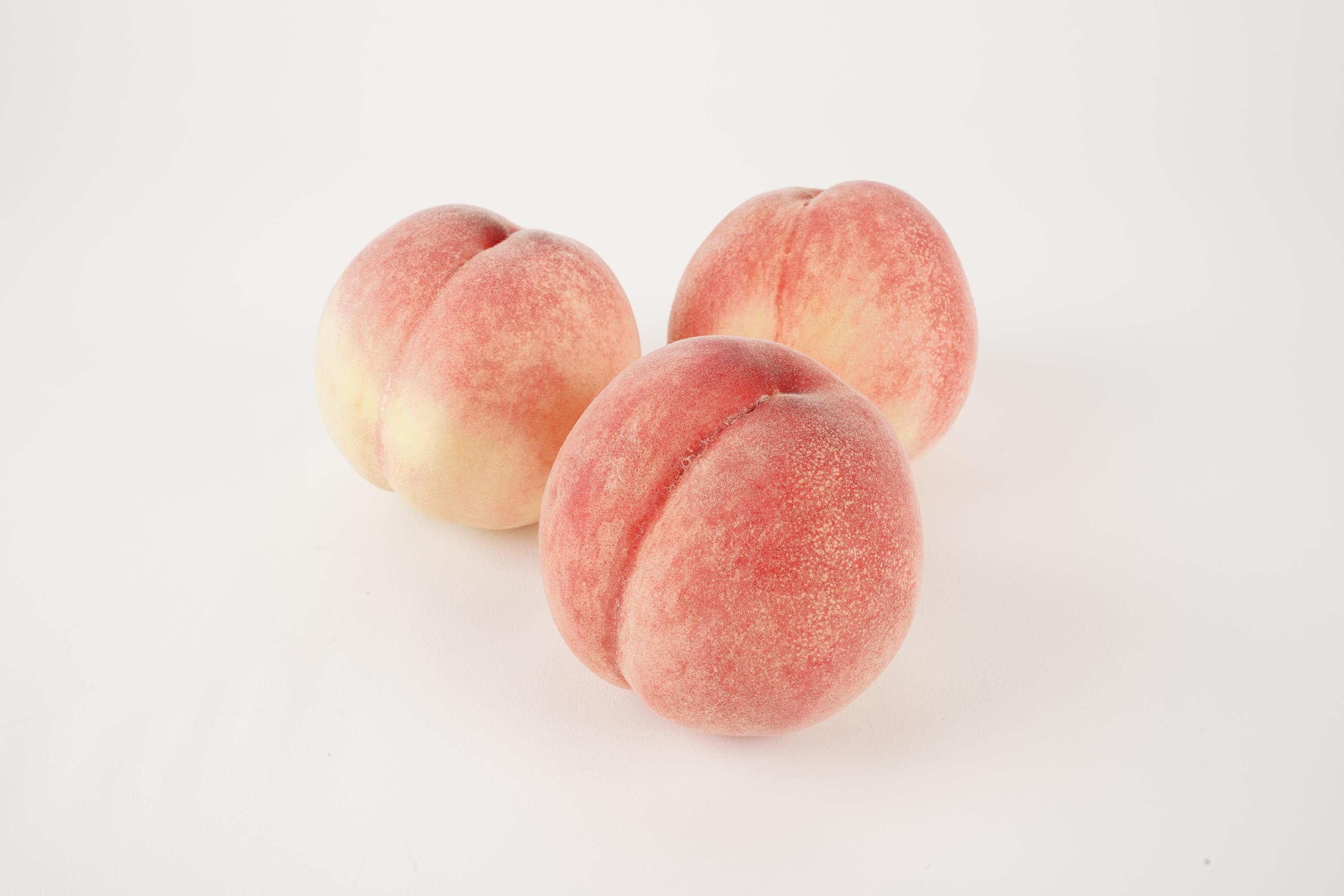 ［秀品］川中島白桃 食べきりやすい3個入り［2026年7月末頃から順次発送］こだわり 農家厳選 先行予約 モモ［KG16］