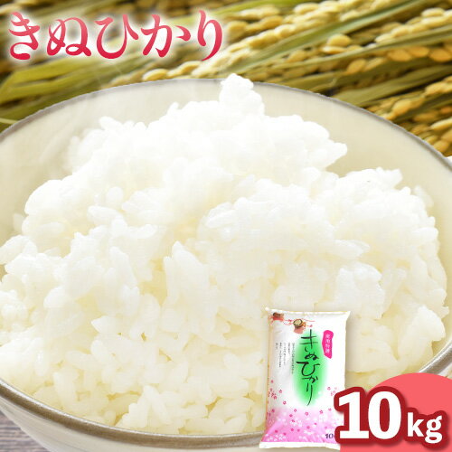 【ふるさと納税】令和7年産 米 きぬひかり 10kg スマイル 《30日以内に出荷予定(土日祝除く)》 和歌山県 日高町 米 お米 こめ コメ きぬひかり キヌヒカリ 送料無料