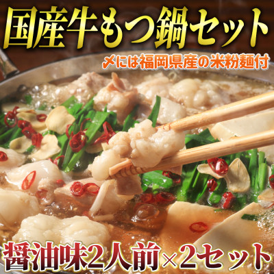
                  もつ鍋 醤油味2人前×2セット(合計4人前)(米粉麺付)(大牟田市)【1289103】
                
