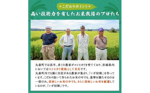 令和6年産 新米 精米 ブランド米「いざ初陣」15kg（1kg×15個）食味値85以上 整粒歩合80%以上