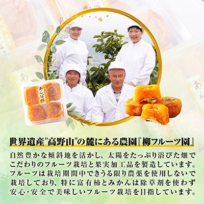 あんぽ柿【先行受付】柳フルーツ園「紀州手作り　あんぽ柿」30個入り【配送不可地域：離島】